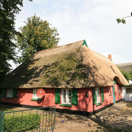 Unterm Rohrdach Apartment Wustrow  Exterior photo